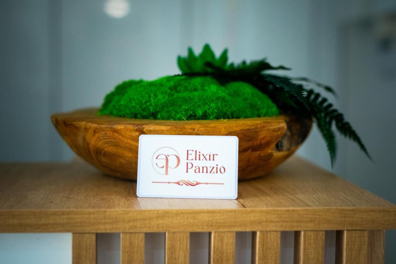 Nyírbátor Elixir Panzio Bed & Breakfast エクステリア 写真